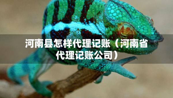 河南縣怎樣代理記賬（河南省代理記賬公司）