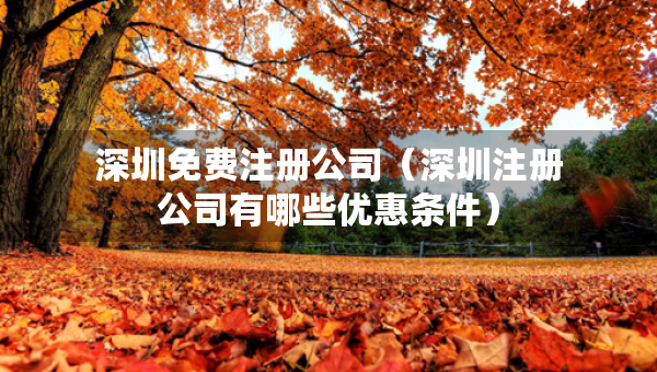 深圳免費(fèi)注冊(cè)公司（深圳注冊(cè)公司有哪些優(yōu)惠條件）