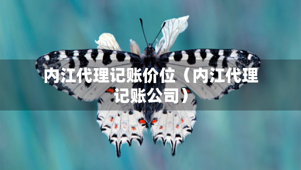 內江代理記賬價位（內江代理記賬公司）