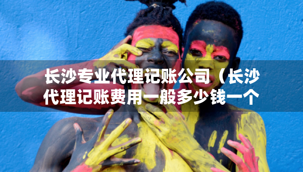 長(zhǎng)沙專業(yè)代理記賬公司（長(zhǎng)沙代理記賬費(fèi)用一般多少錢一個(gè)月）
