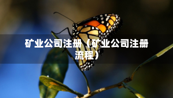 礦業(yè)公司注冊(cè)（礦業(yè)公司注冊(cè)流程）