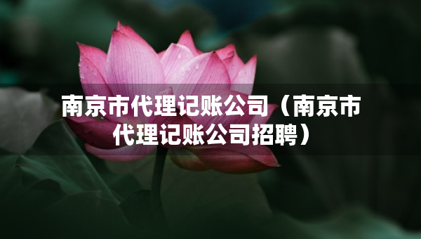 南京市代理記賬公司（南京市代理記賬公司招聘）