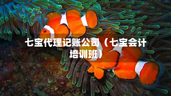 七寶代理記賬公司（七寶會計培訓班）