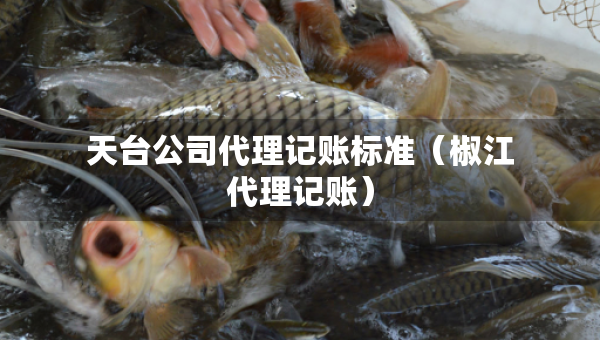 天臺公司代理記賬標(biāo)準(zhǔn)（椒江代理記賬）
