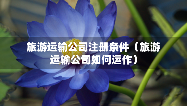 旅游運輸公司注冊條件（旅游運輸公司如何運作）