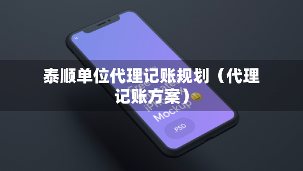 泰順單位代理記賬規(guī)劃（代理記賬方案）
