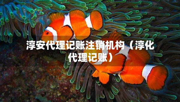 淳安代理記賬注銷機(jī)構(gòu)(淳化代理記賬) 淳安代理記賬注銷機(jī)構(gòu)(淳化代理記賬)