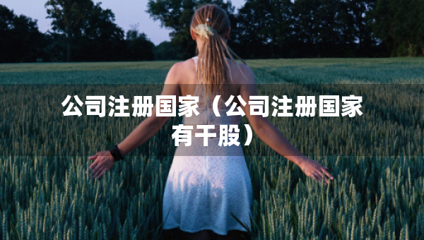 公司注冊(cè)國(guó)家（公司注冊(cè)國(guó)家有干股）