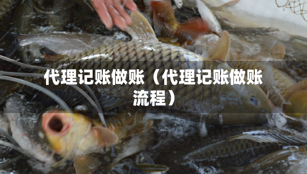 代理記賬做賬（代理記賬做賬流程）