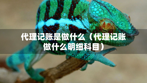 代理記賬是做什么（代理記賬做什么明細(xì)科目）