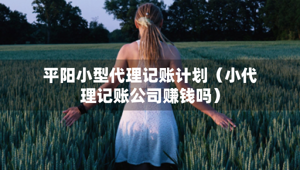 平陽小型代理記賬計劃(小代理記賬公司賺錢嗎) 平陽小型代理記賬計劃(小代理記賬公司賺錢嗎)