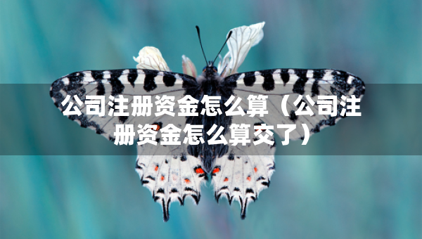 公司注冊資金怎么算（公司注冊資金怎么算交了）