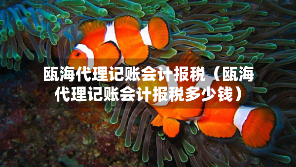 甌海代理記賬會計(jì)報(bào)稅（甌海代理記賬會計(jì)報(bào)稅多少錢）