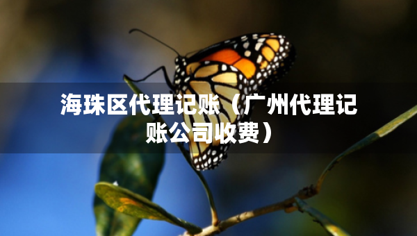 海珠區(qū)代理記賬（廣州代理記賬公司收費）