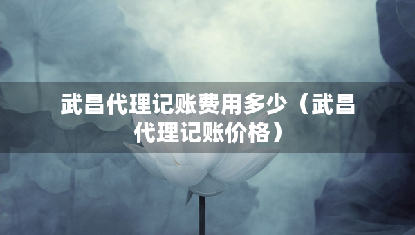 武昌代理記賬費用多少（武昌代理記賬價格）
