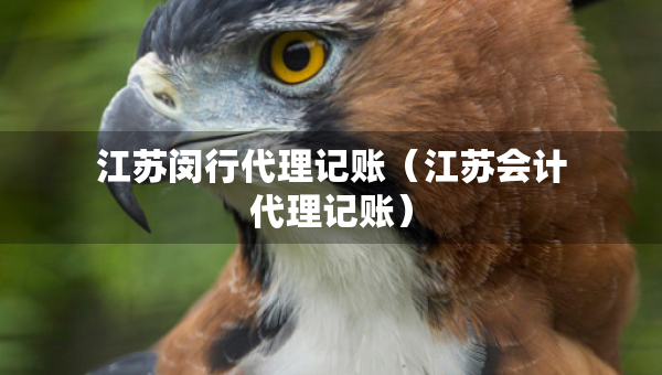 江蘇閔行代理記賬（江蘇會(huì)計(jì)代理記賬）