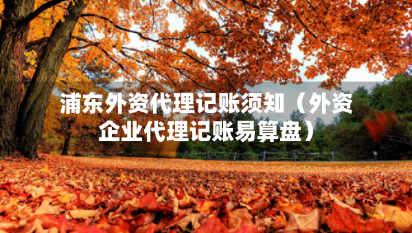 浦東外資代理記賬須知（外資企業(yè)代理記賬易算盤）