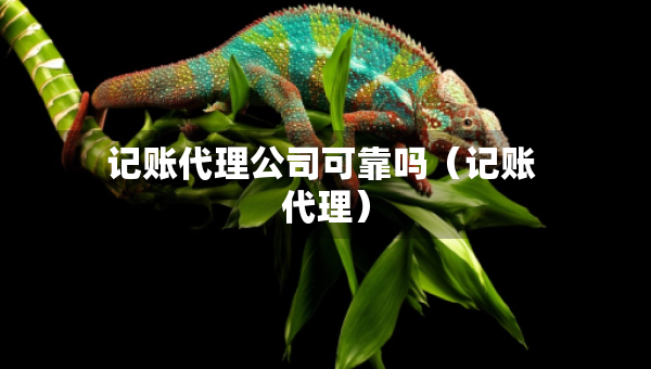 記賬代理公司可靠嗎（記賬 代理）