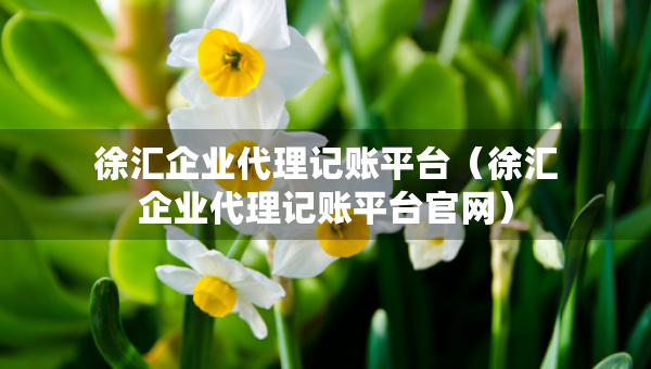 徐匯企業(yè)代理記賬平臺（徐匯企業(yè)代理記賬平臺官網(wǎng)）