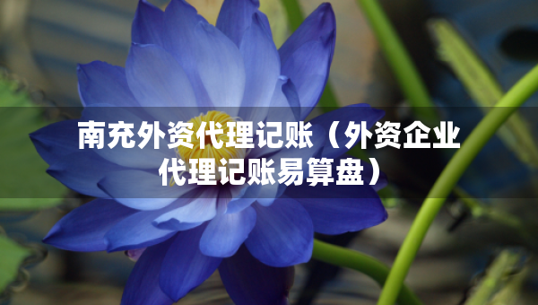 南充外資代理記賬（外資企業(yè)代理記賬易算盤）