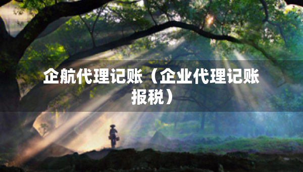 企航代理記賬（企業(yè)代理記賬報(bào)稅）