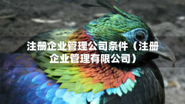 注冊(cè)企業(yè)管理公司條件（注冊(cè)企業(yè)管理有限公司）
