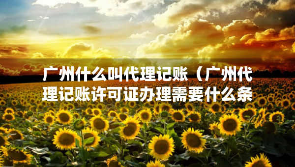 廣州什么叫代理記賬（廣州代理記賬許可證辦理需要什么條件）