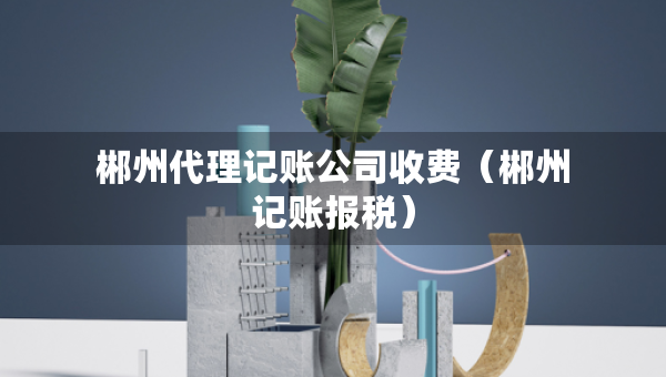 郴州代理記賬公司收費（郴州記賬報稅）