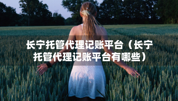 長寧托管代理記賬平臺（長寧托管代理記賬平臺有哪些）