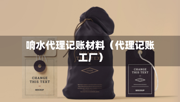 響水代理記賬材料（代理記賬工廠）