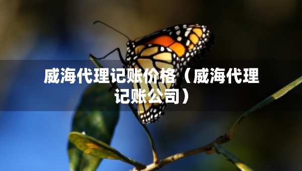 威海代理記賬價格（威海代理記賬公司）