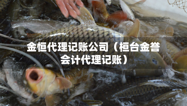 金恒代理記賬公司（桓臺(tái)金譽(yù)會(huì)計(jì)代理記賬）