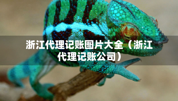 浙江代理記賬圖片大全（浙江代理記賬公司）