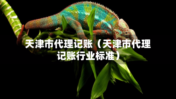 天津市代理記賬（天津市代理記賬行業(yè)標(biāo)準(zhǔn)）