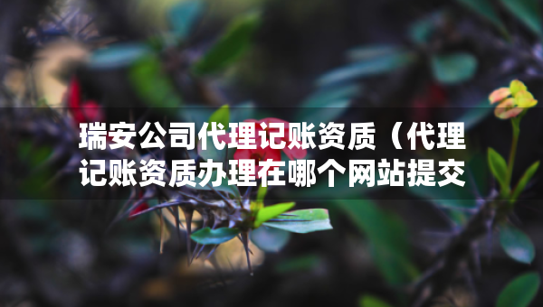 瑞安公司代理記賬資質(zhì)（代理記賬資質(zhì)辦理在哪個(gè)網(wǎng)站提交申請(qǐng)）