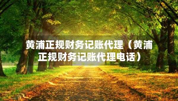 黃浦正規(guī)財務(wù)記賬代理（黃浦正規(guī)財務(wù)記賬代理電話）