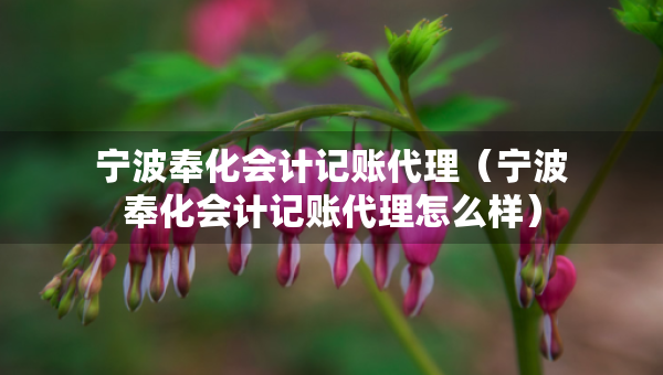 寧波奉化會(huì)計(jì)記賬代理（寧波奉化會(huì)計(jì)記賬代理怎么樣）
