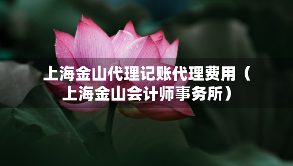 上海金山代理記賬代理費(fèi)用(上海金山會(huì)計(jì)師事務(wù)所) 上海金山代理記賬代理費(fèi)用(上海金山會(huì)計(jì)師事務(wù)所)