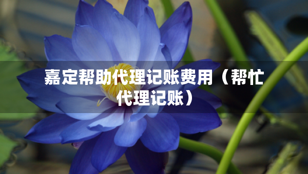 嘉定幫助代理記賬費(fèi)用（幫忙代理記賬）
