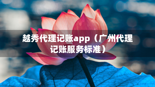 越秀代理記賬app（廣州代理記賬服務(wù)標(biāo)準(zhǔn)）