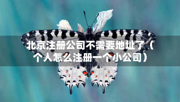 北京注冊(cè)公司不需要地址了(個(gè)人怎么注冊(cè)一個(gè)小公司) 北京注冊(cè)公司不需要地址了(個(gè)人怎么注冊(cè)一個(gè)小公司)