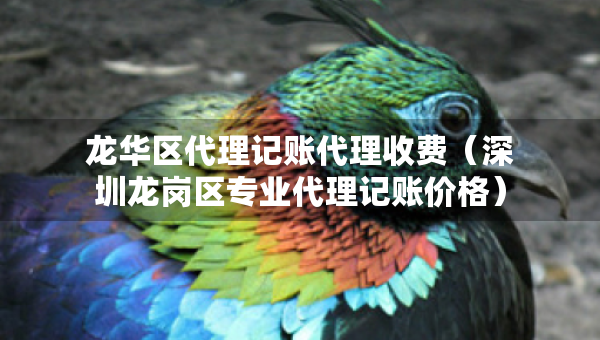 龍華區(qū)代理記賬代理收費(fèi)（深圳龍崗區(qū)專業(yè)代理記賬價(jià)格）