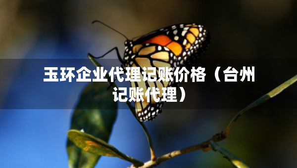 玉環(huán)企業(yè)代理記賬價(jià)格（臺(tái)州記賬代理）