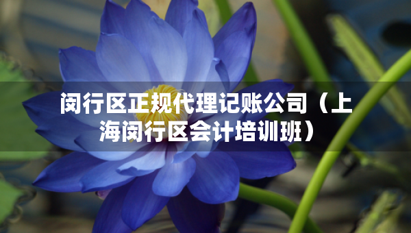 閔行區(qū)正規(guī)代理記賬公司（上海閔行區(qū)會計培訓班）