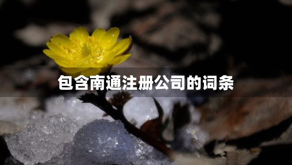 包含南通注冊公司的詞條