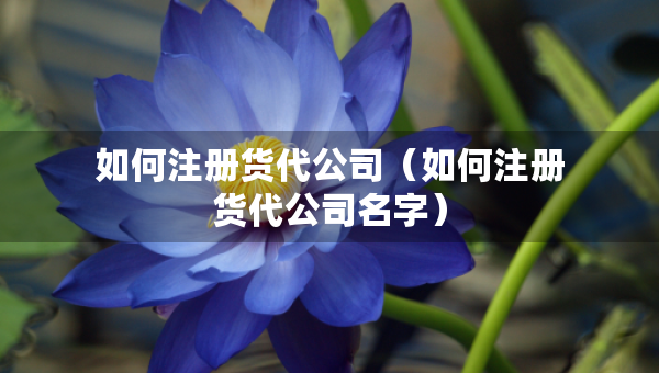 如何注冊(cè)貨代公司（如何注冊(cè)貨代公司名字）