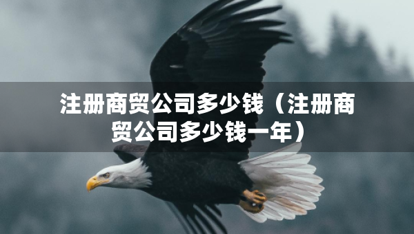 注冊商貿(mào)公司多少錢（注冊商貿(mào)公司多少錢一年）