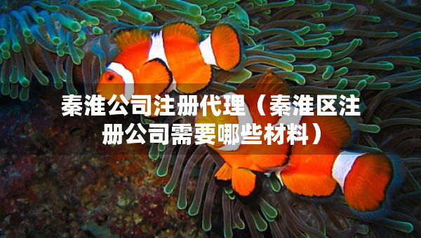 秦淮公司注冊代理（秦淮區(qū)注冊公司需要哪些材料）