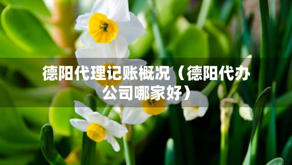 德陽代理記賬概況（德陽代辦公司哪家好）