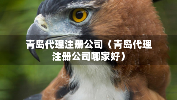 青島代理注冊(cè)公司（青島代理注冊(cè)公司哪家好）